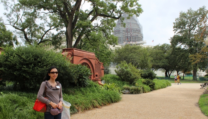 The Capitol building under remodeling with scaffold.