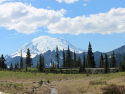 Mt. Rainier from Tipsoo lake.