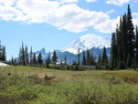 Mt. Rainier from Tipsoo lake.