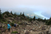 Mt. Ellinor looking down Lake Cushman. Tough trail.