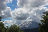 Mountain St. Helen from NFD 25, Gifford Pinchot National Forest.