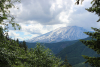 Mountain St. Helen from NFD 25, Gifford Pinchot National Forest.