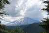 Mountain St. Helen from NFD 25, Gifford Pinchot National Forest.