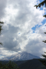 Mountain St Helen from NFD 25, Gifford Pinchot National Forest.